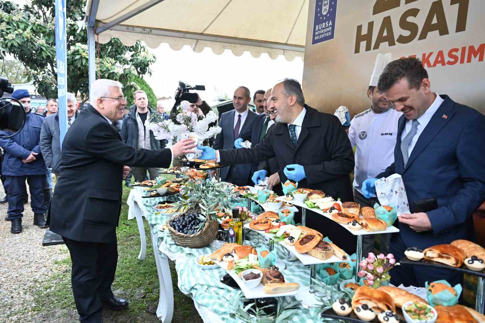 Orhangazi’de de zeytin hasadı başladı