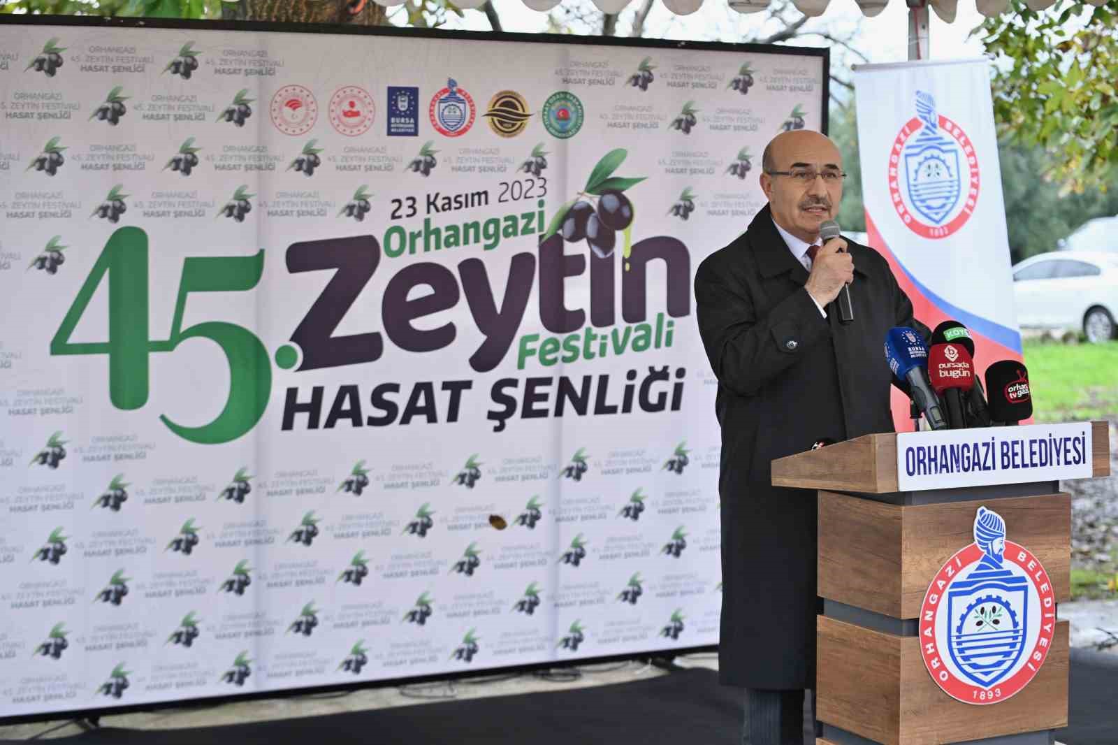 Orhangazi’de de zeytin hasadı başladı