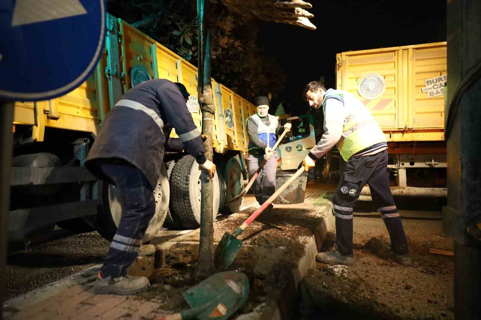 Bursa’da manolya ağaçları caddeleri süsledi