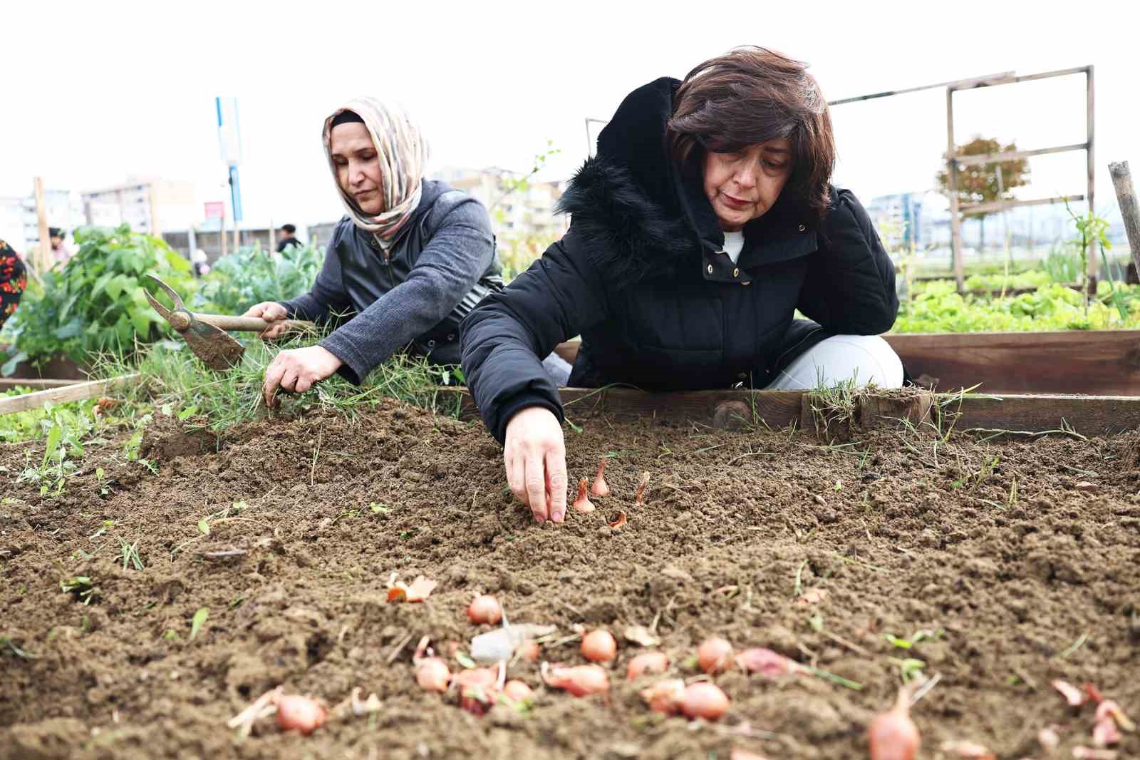 Tarımda mahalle seferberliği