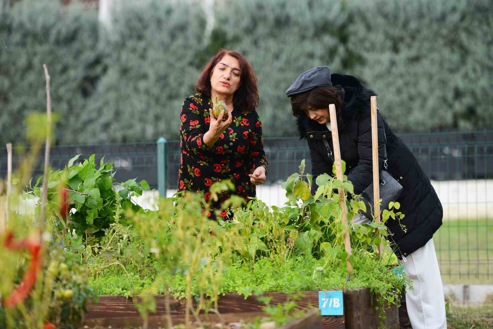 Tarımda mahalle seferberliği