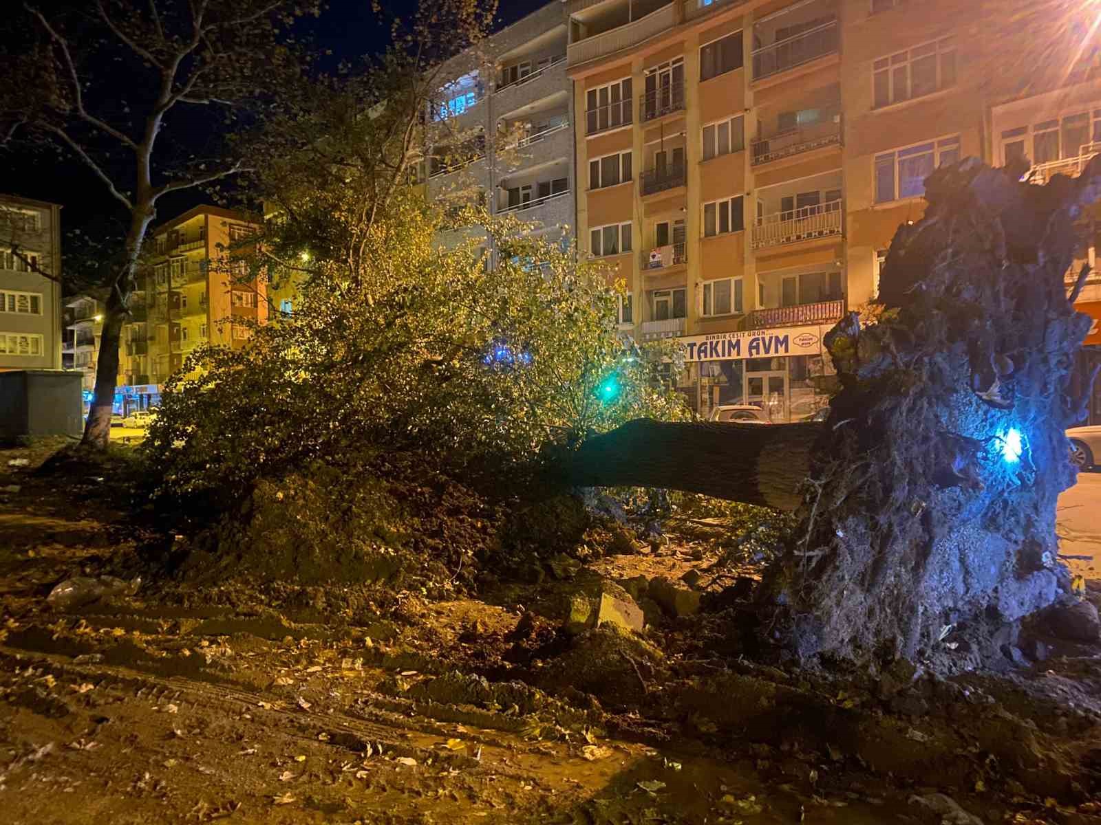 Bursa’da şiddetli lodos 200 yıllık tarihi 2 çınarı yıktı