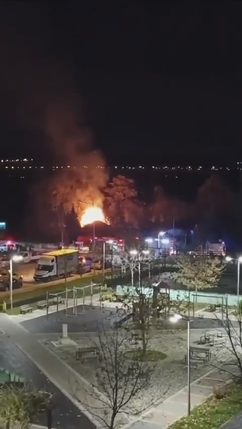 Bursa’da bir çiftlik alevlere teslim oldu