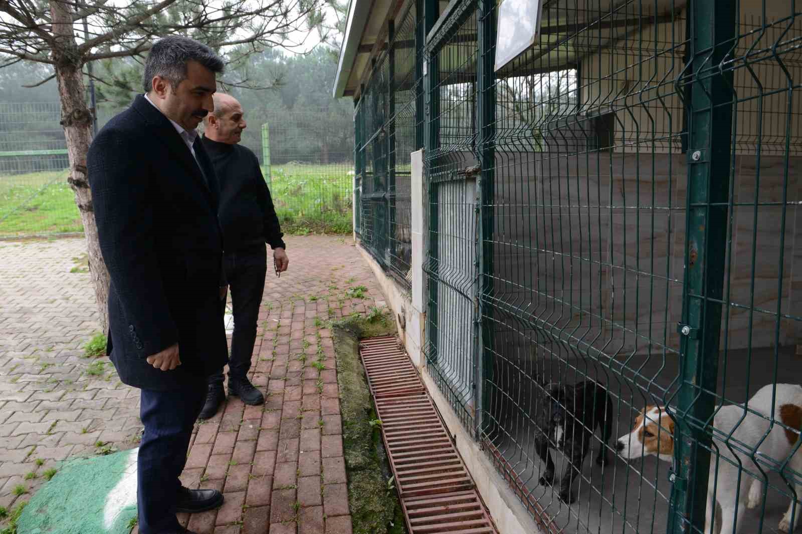 Yıldırım’da can dostlara şefkat eli