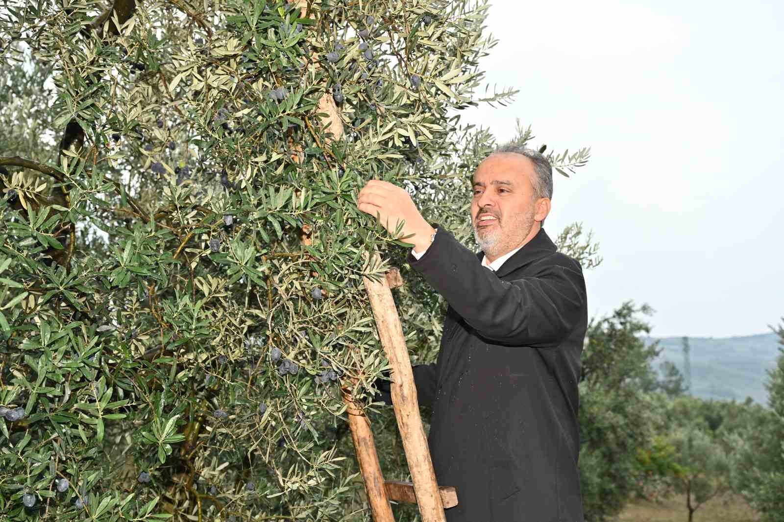 Toprak, Bursa Büyükşehir’le bereketleniyor