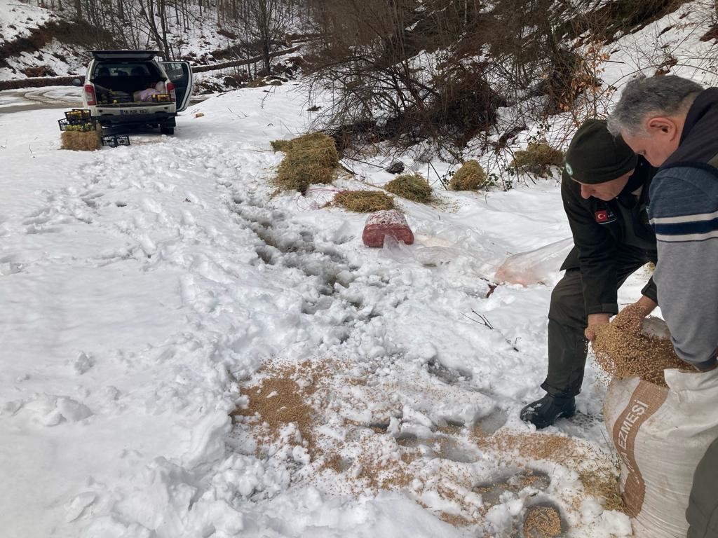 Bursa’da yaban hayvanlarına yem desteği