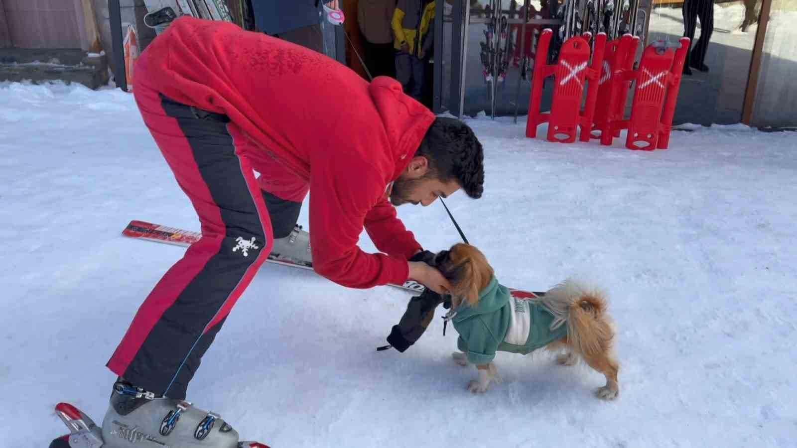 (Özel) Profesyonel kayakçı ve köpeğin çarpışması kameraya böyle yansıdı