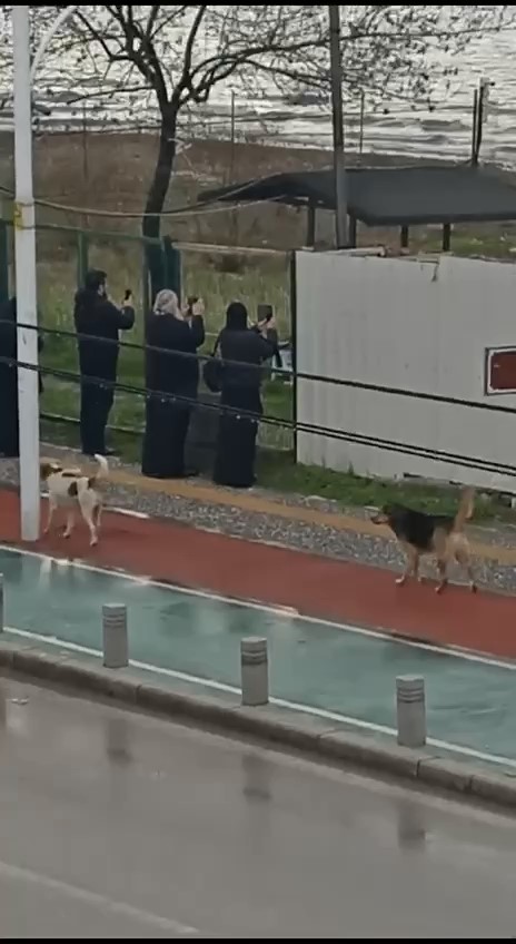 İznik gölündeki tarihi bazilikaya papaz akını