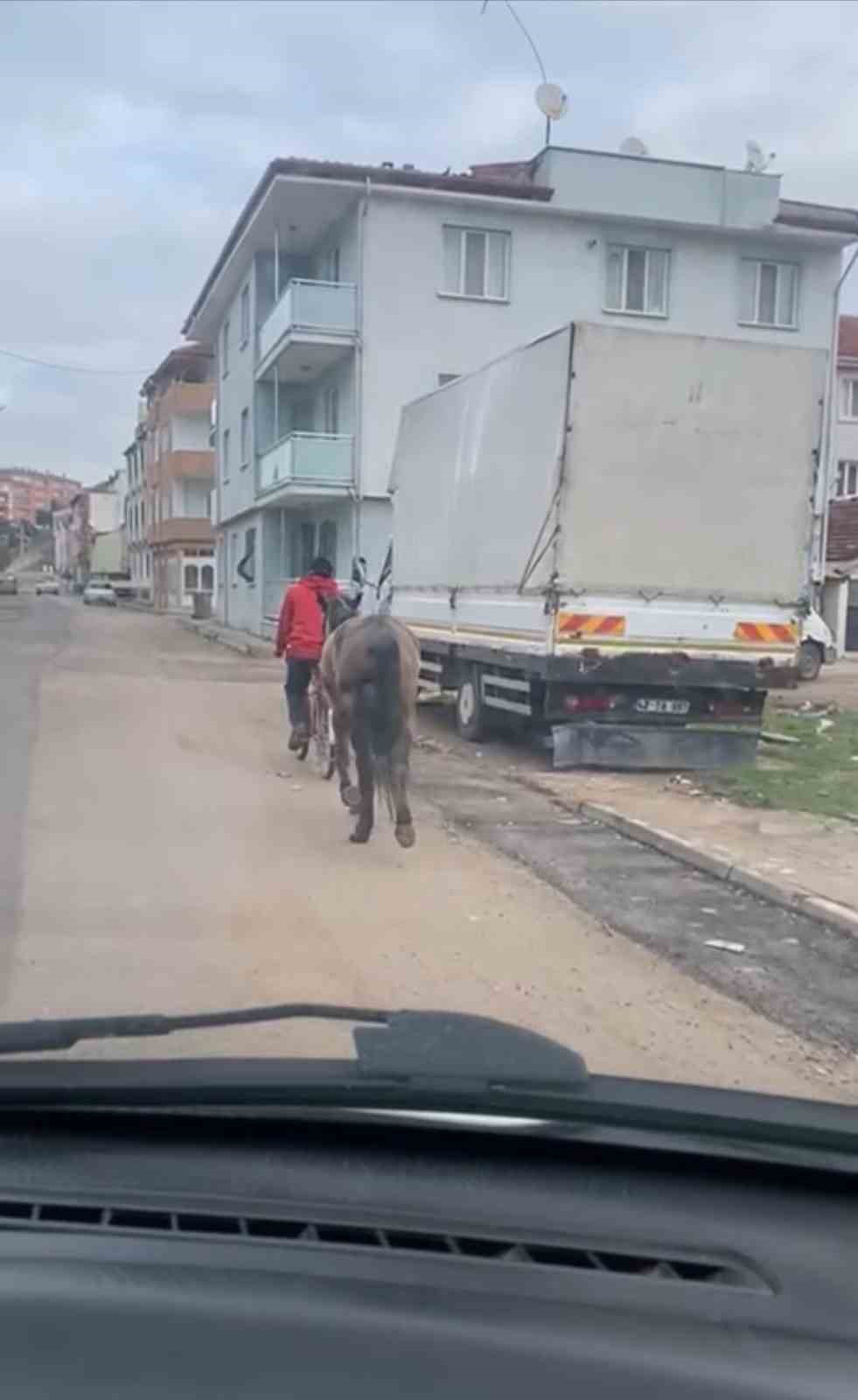 Bursa’da atı bisikletine bağlayarak götürdü