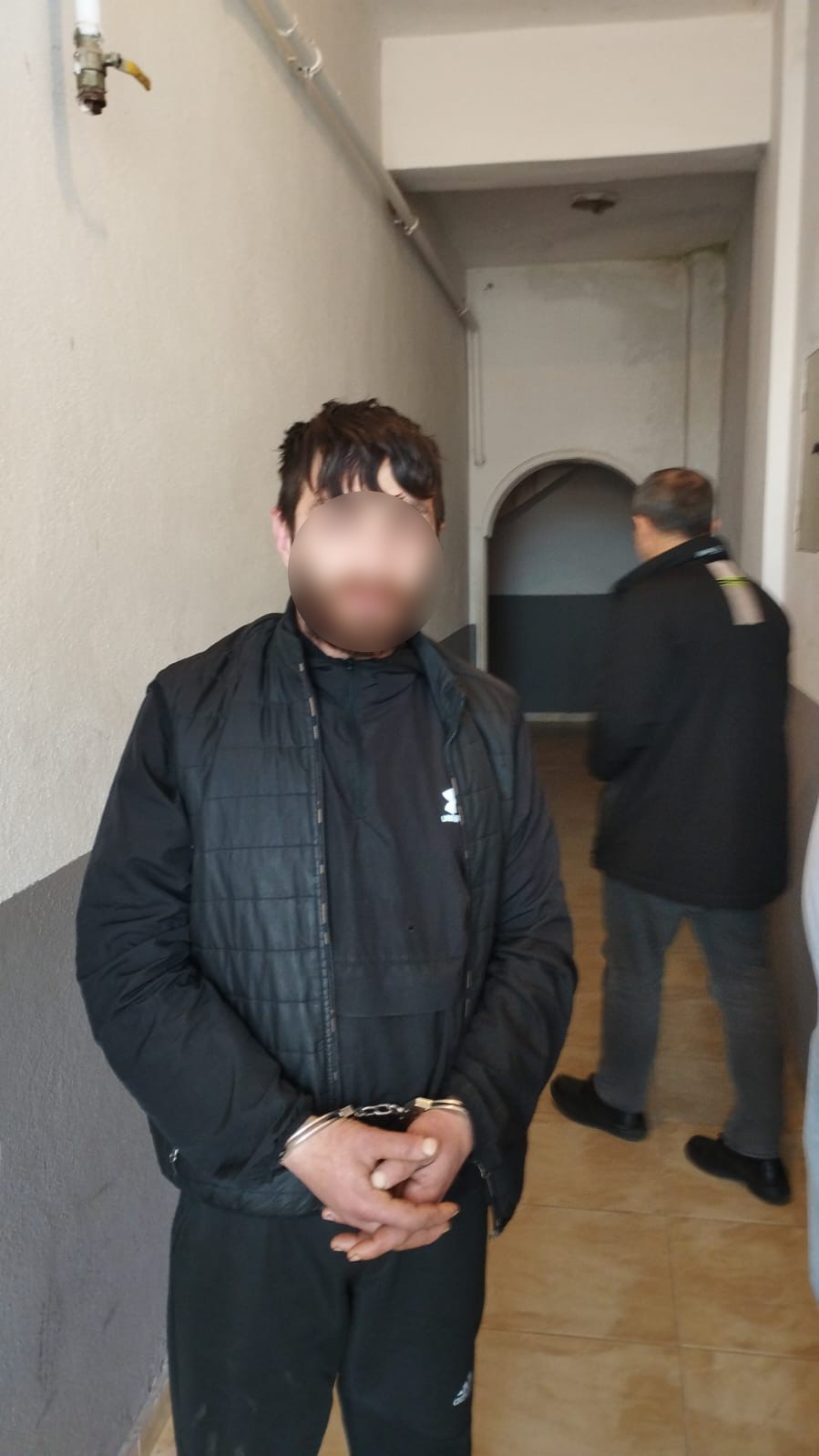 Ağaca çıkan maymun değil hırsız... Çıktığı ağaçta polise el salladı