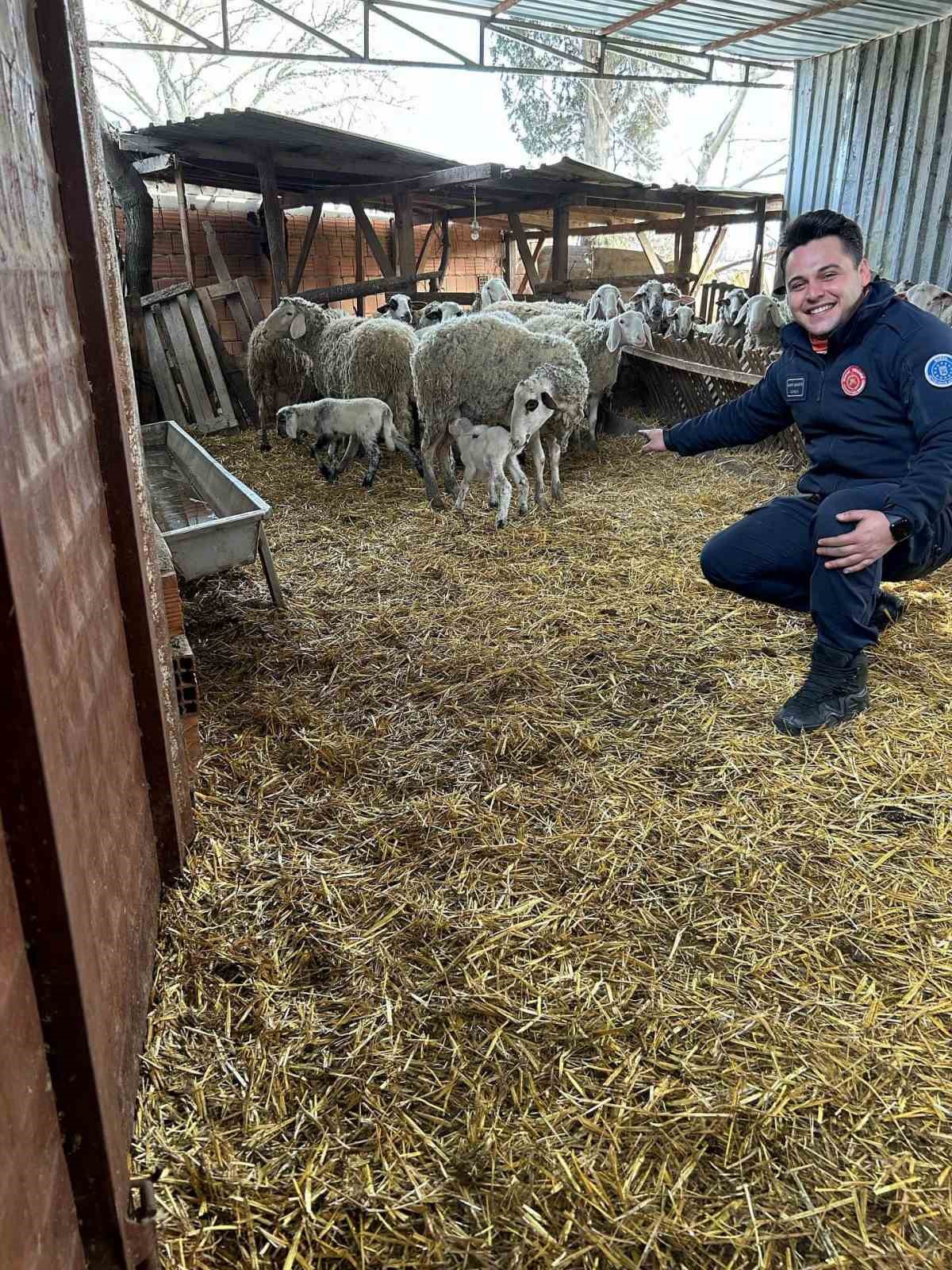 Kuyuya düşen kuzuyu itfaiye kurtardı