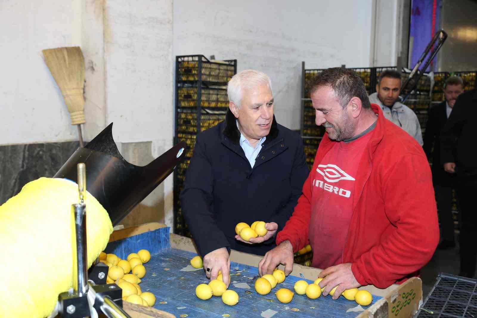 Bozbey’den hal esnafına müjde