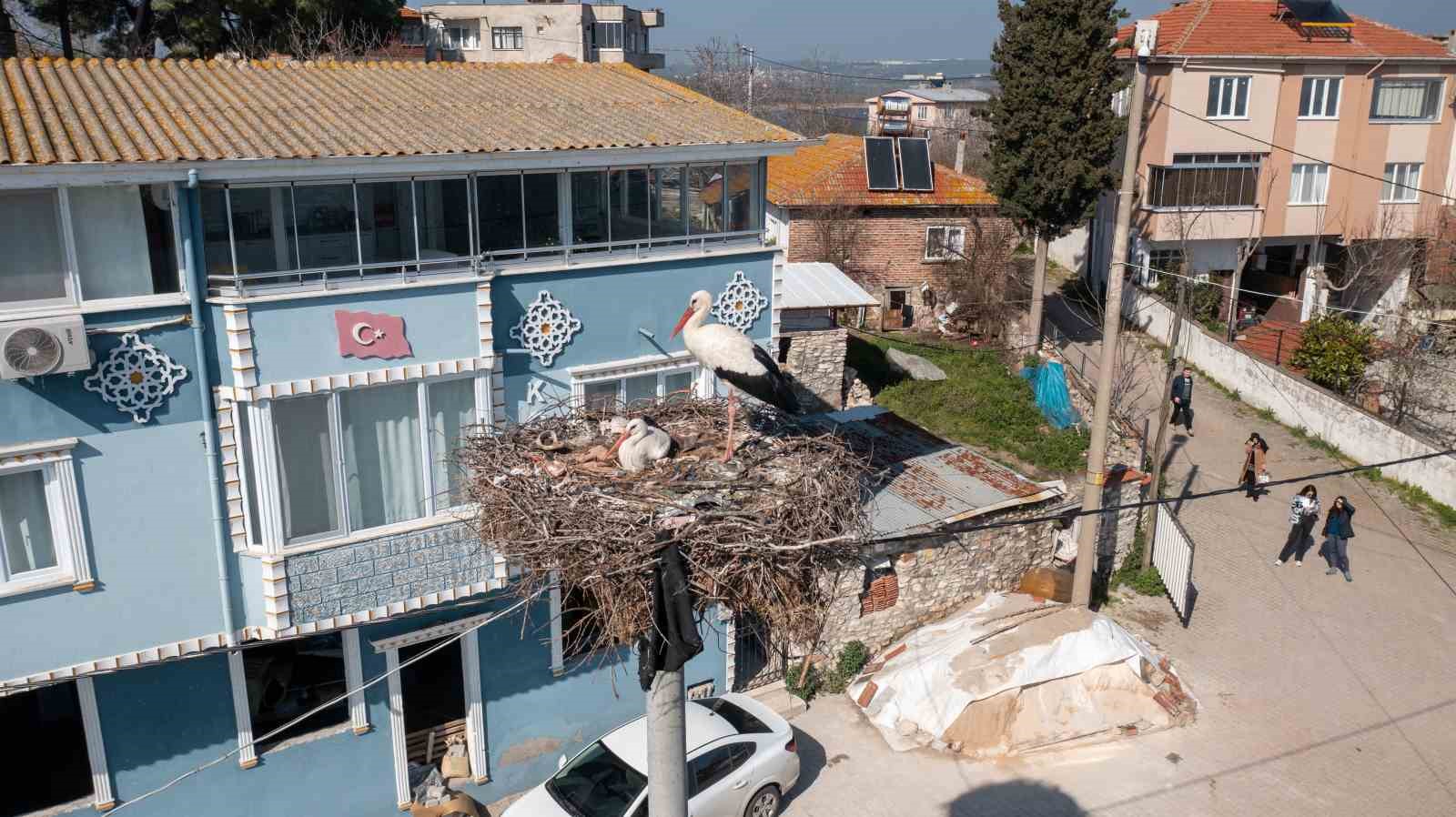 Yaren Leylek ile Balıkçı Adem’in arasına Nazlı girdi