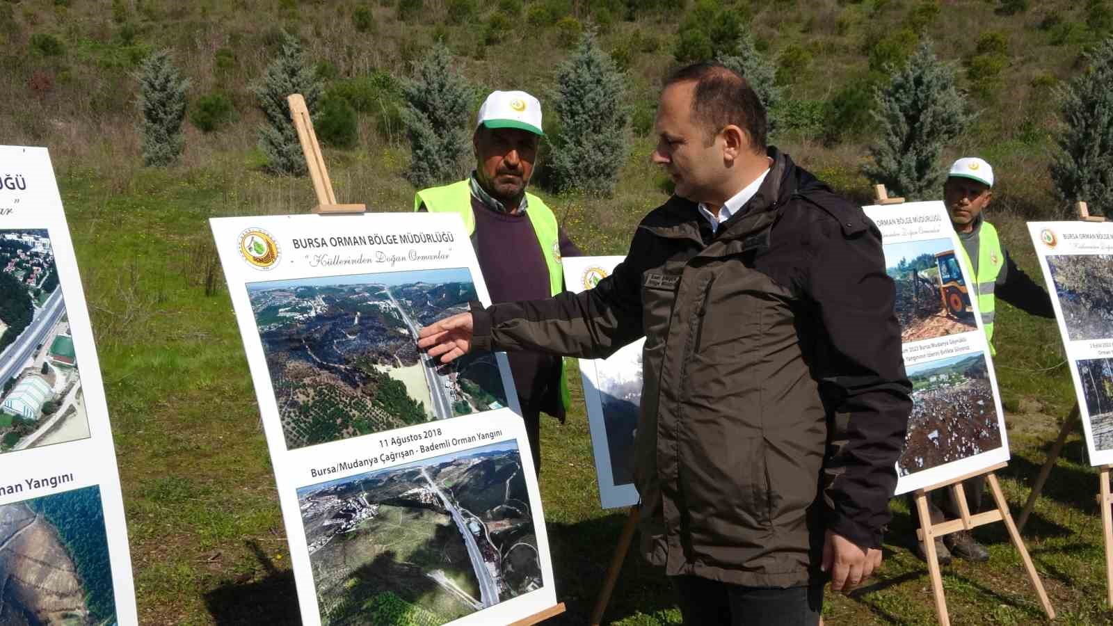 Bursa’da yanan ormanların yerine 48 bin fidan dikildi