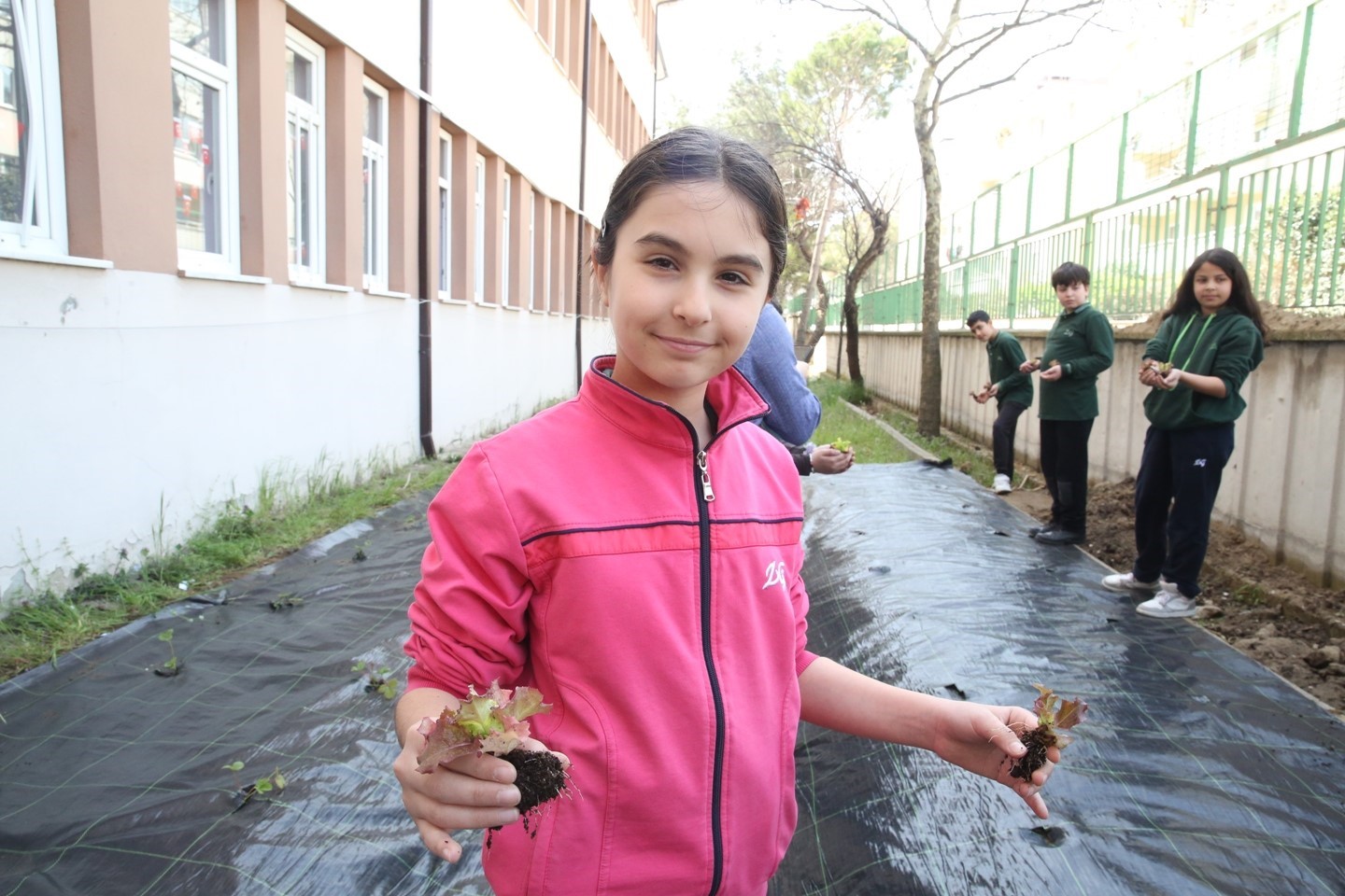 Öğrenciler, çilek ve marul dikerek tarımla tanıştı