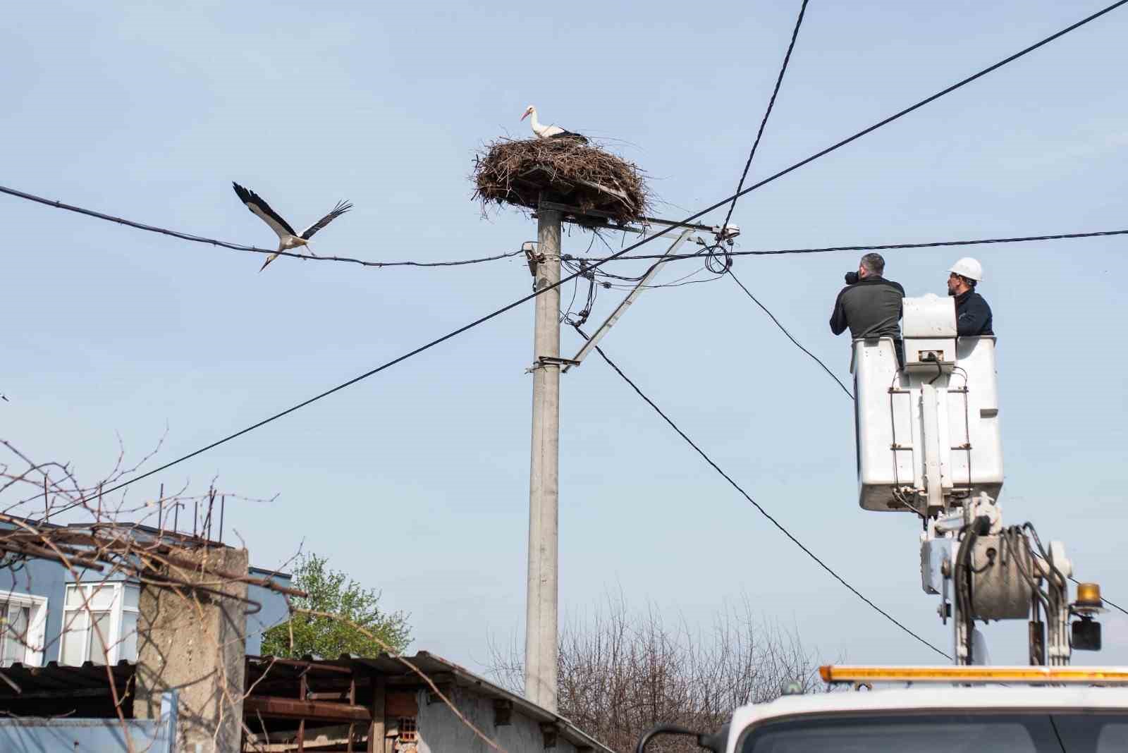 Yaren leyleğin köyünde bahar temizliği