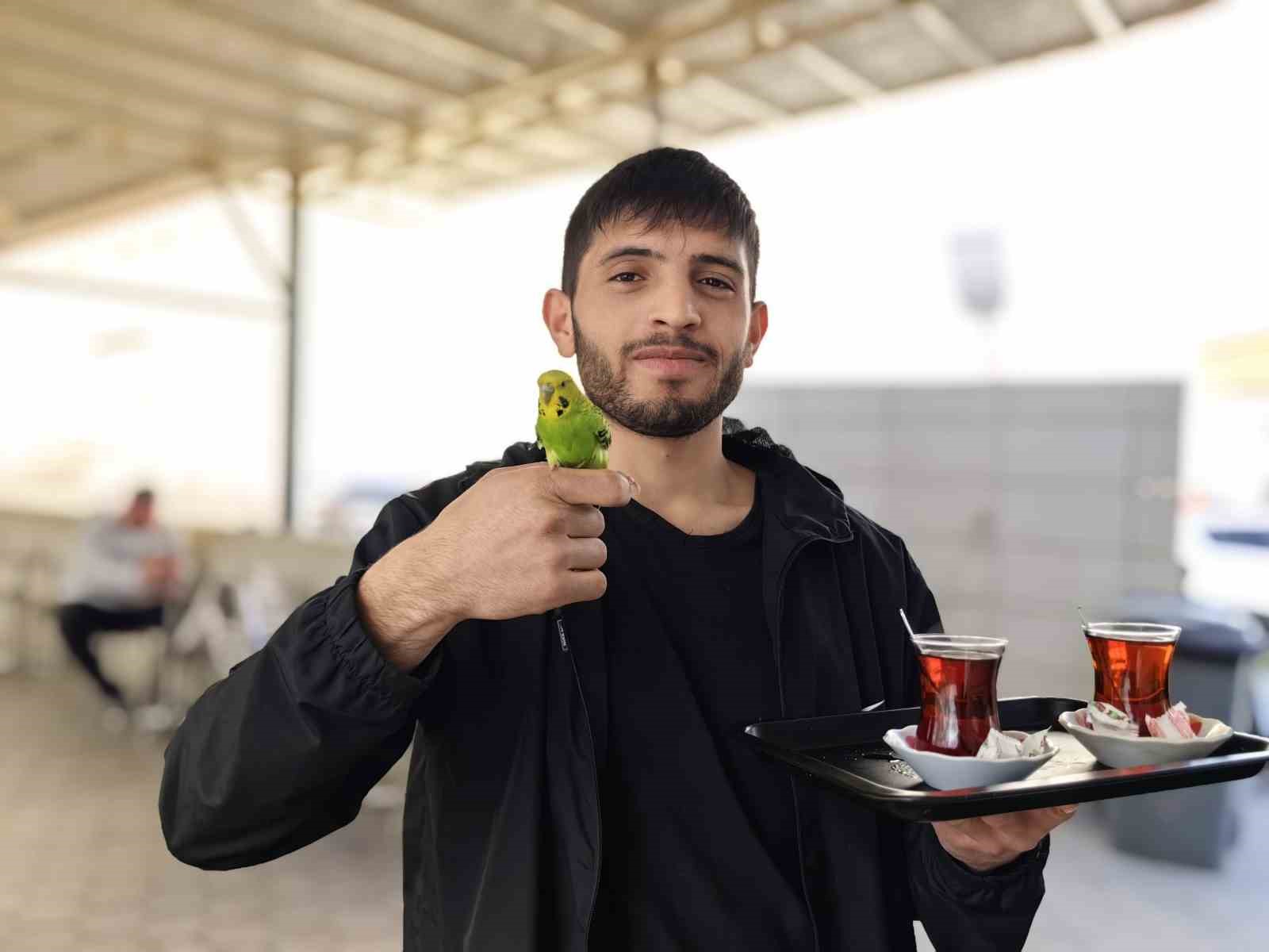 Çay servisi İbiş’ten