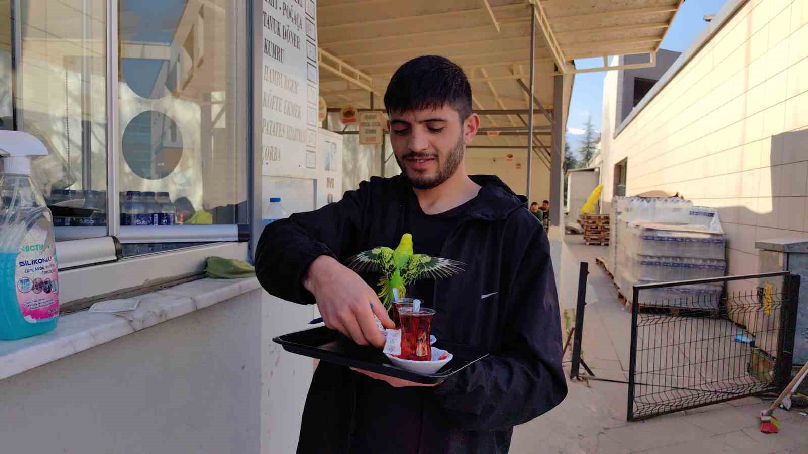 Çay servisi İbiş’ten