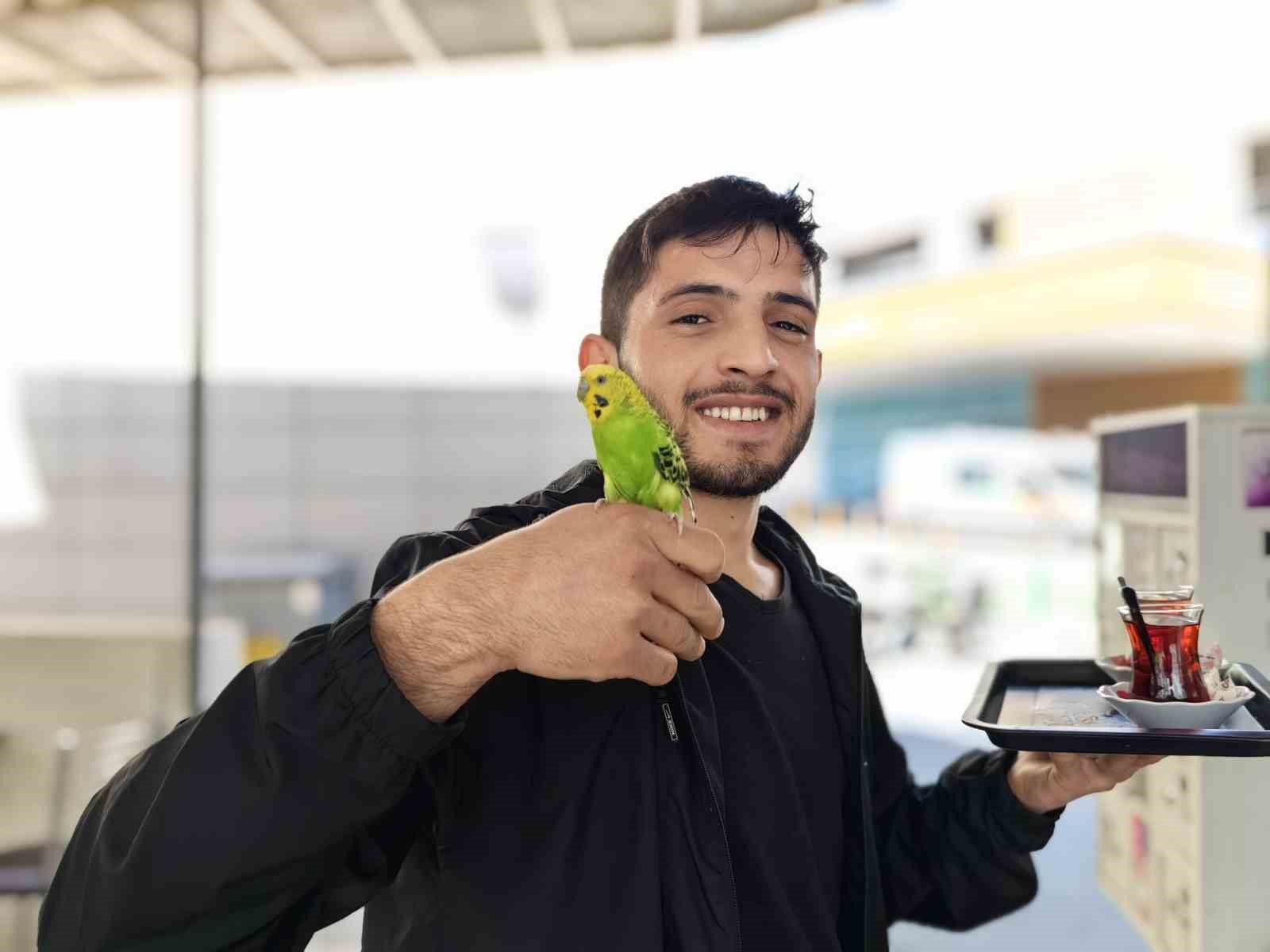 Çay servisi İbiş’ten