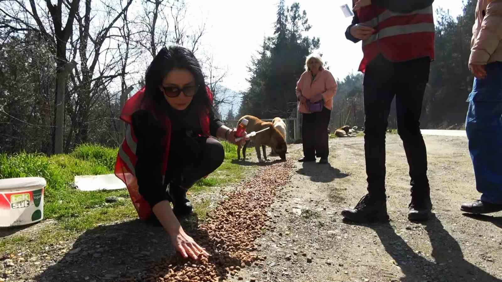 Geri dönüşüm atıkları sokak hayvanlarına mama oldu