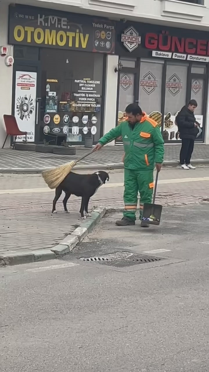 Sokak köpeğinin sırtını süpürge ile temizleyen görevli yüzleri gülümsetti