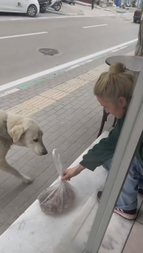 Her gün dükkana gelen köpeği besleyen esnaf yüzleri gülümsetti