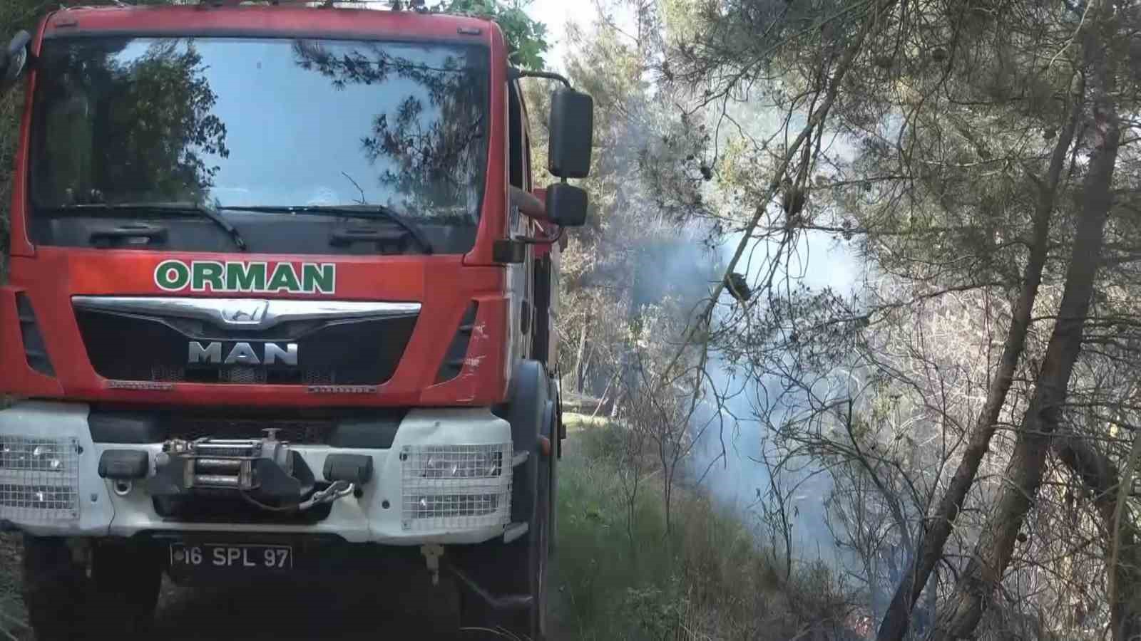 Bursa’da ormanlık alanda çıkan yangın kontrol altına alındı