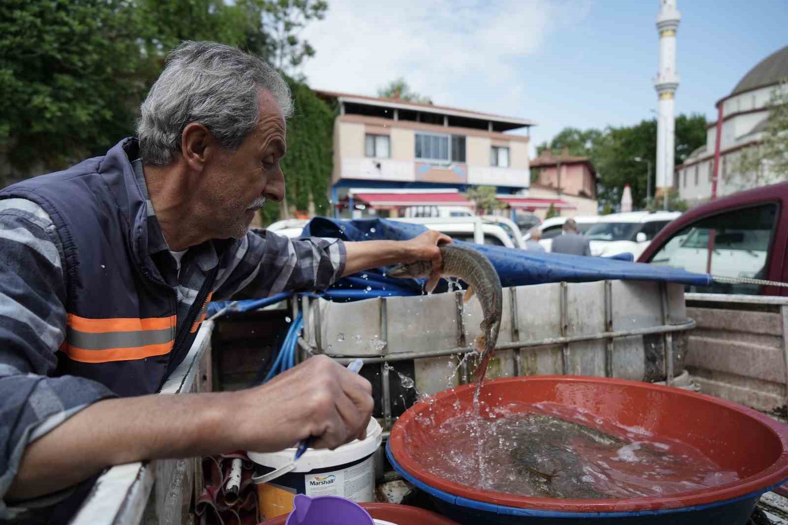 Tarihi Gölyazı’da 100 yıllık balık mezadı