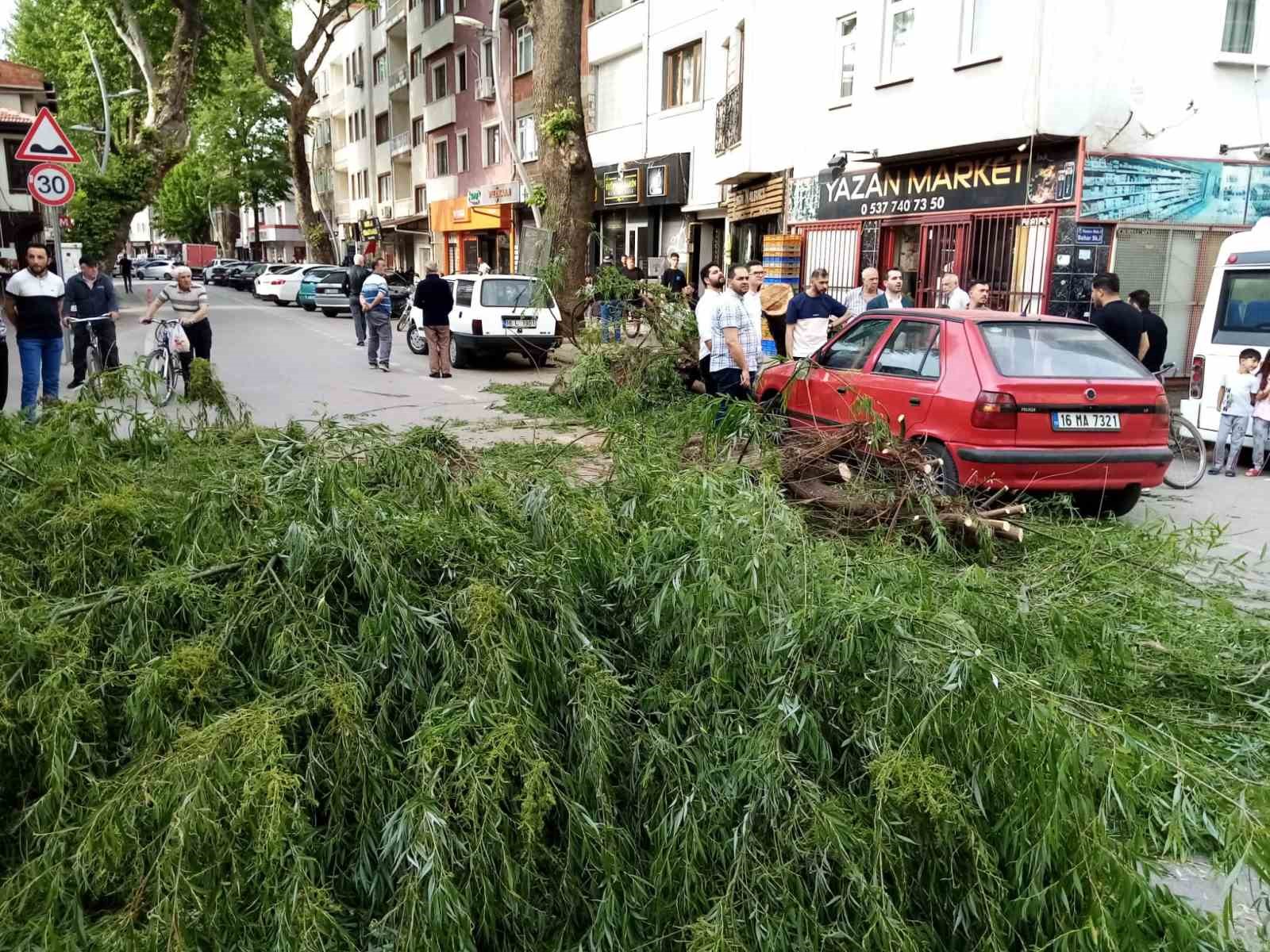 Seyir halindeki otomobilin üzerine ağaç devrildi