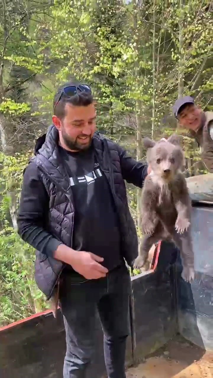 Ormandan şehre inen yavru ayı maskot oldu