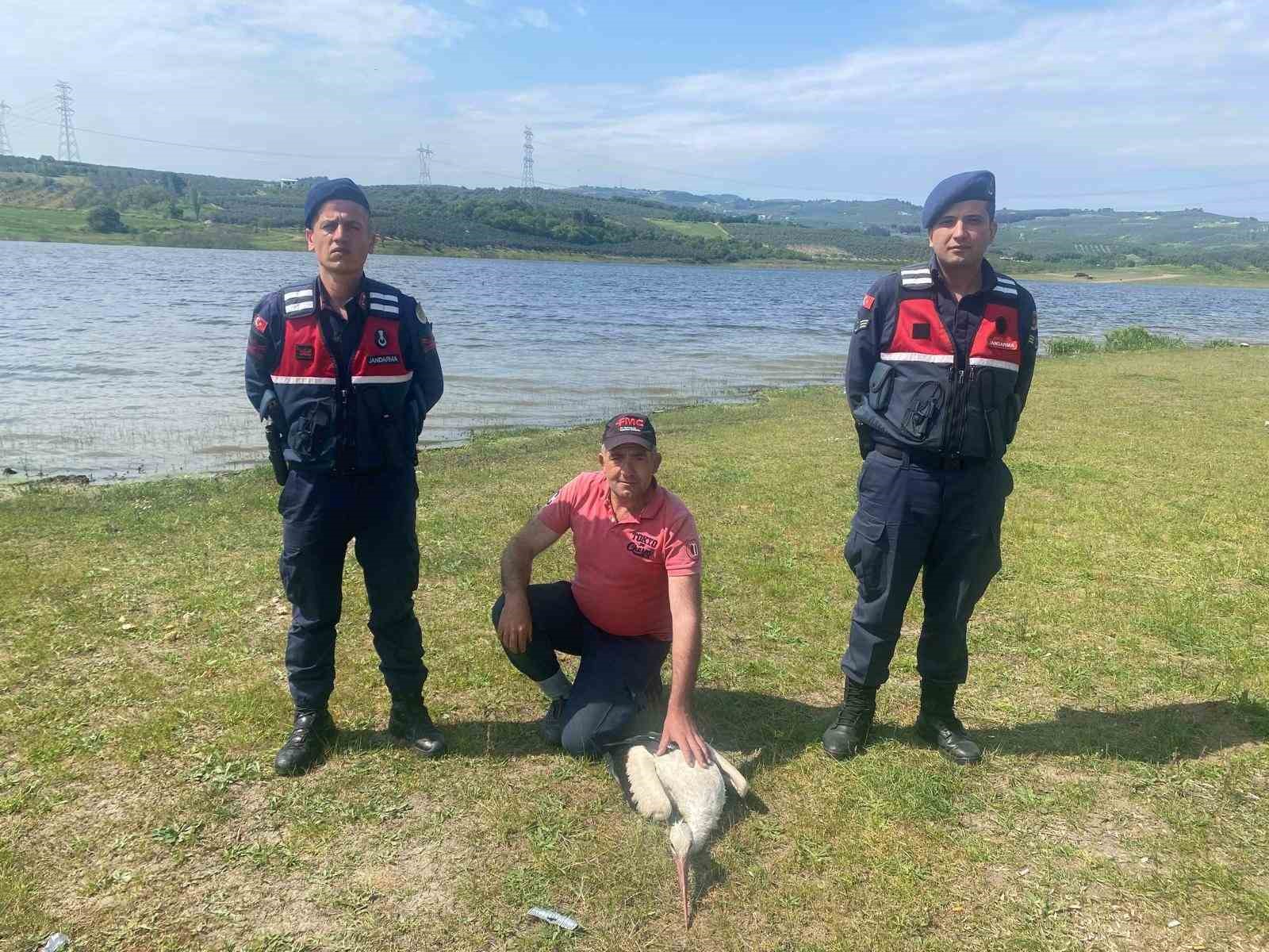 Yaralı leyleğe jandarma şefkati