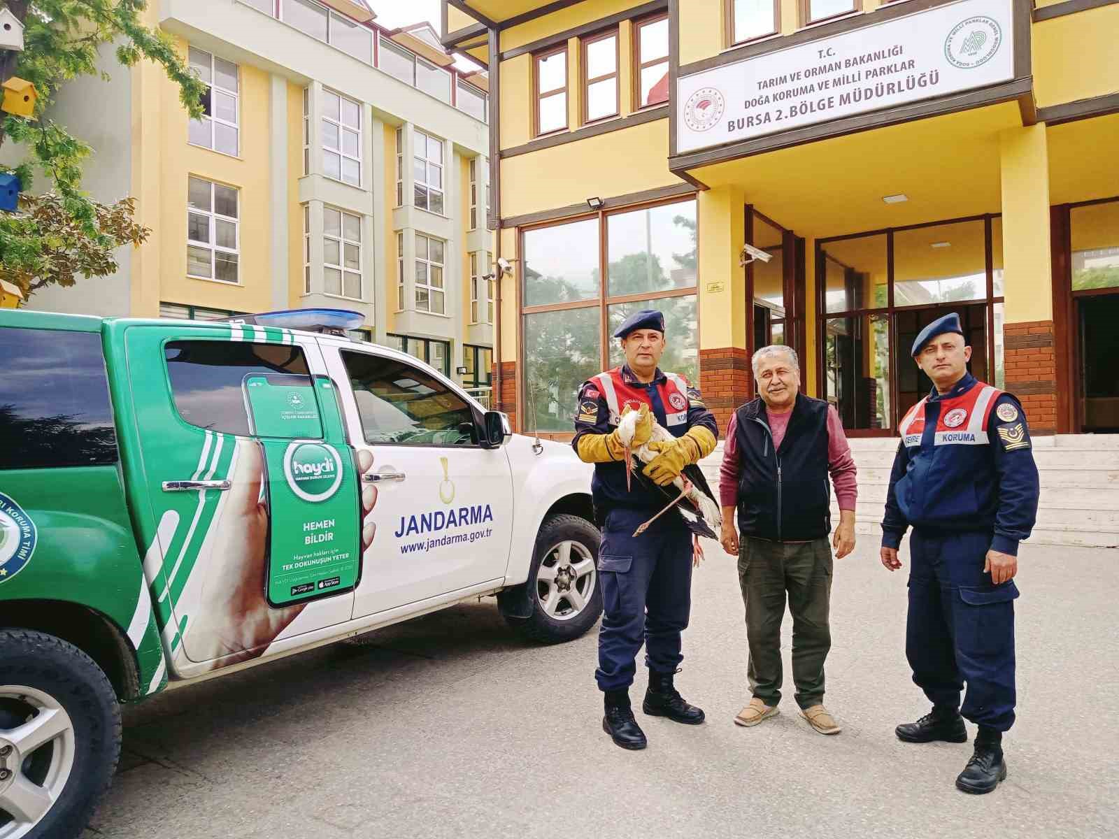 Yaralı leyleğe jandarma şefkati