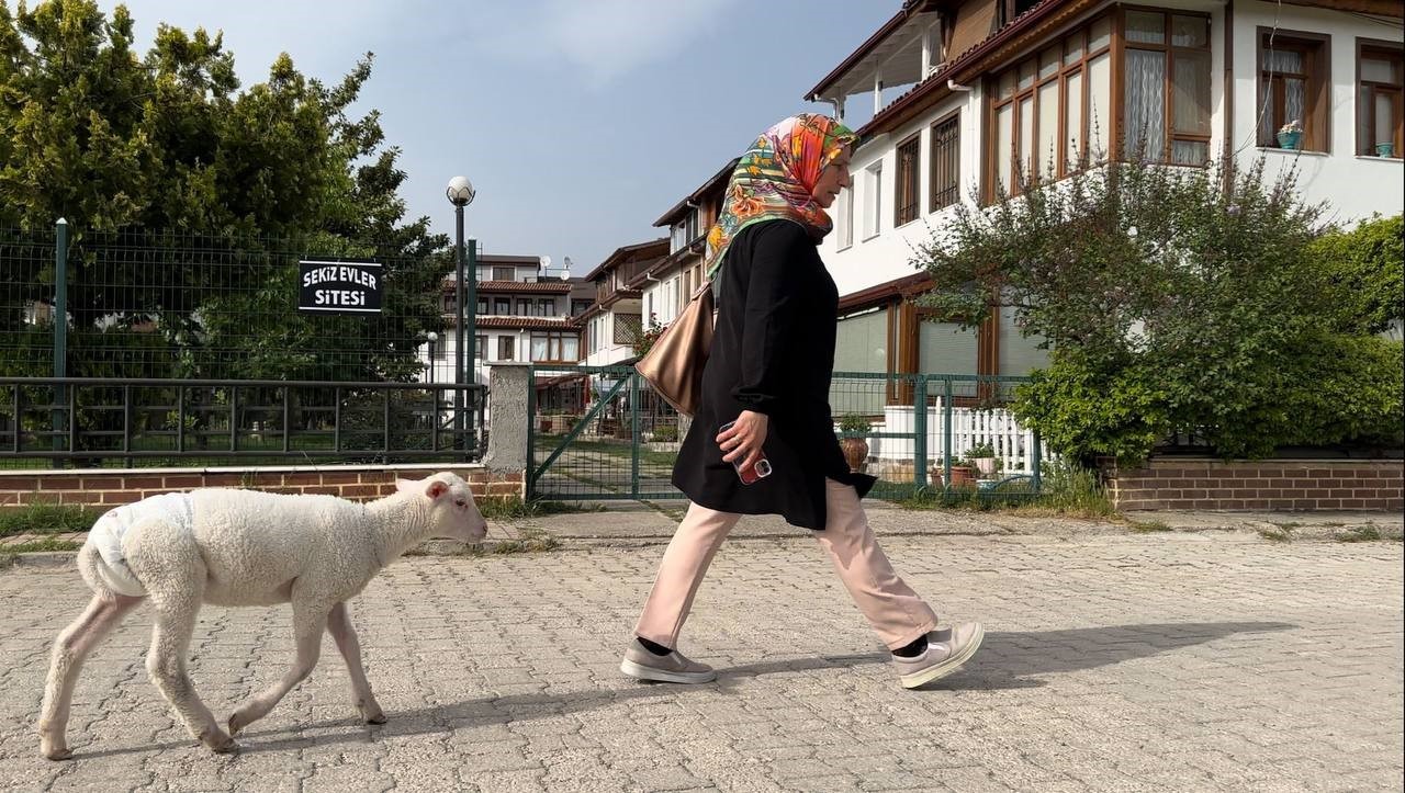 Evlerine aldıkları kuzuya bebek gibi bakıyorlar