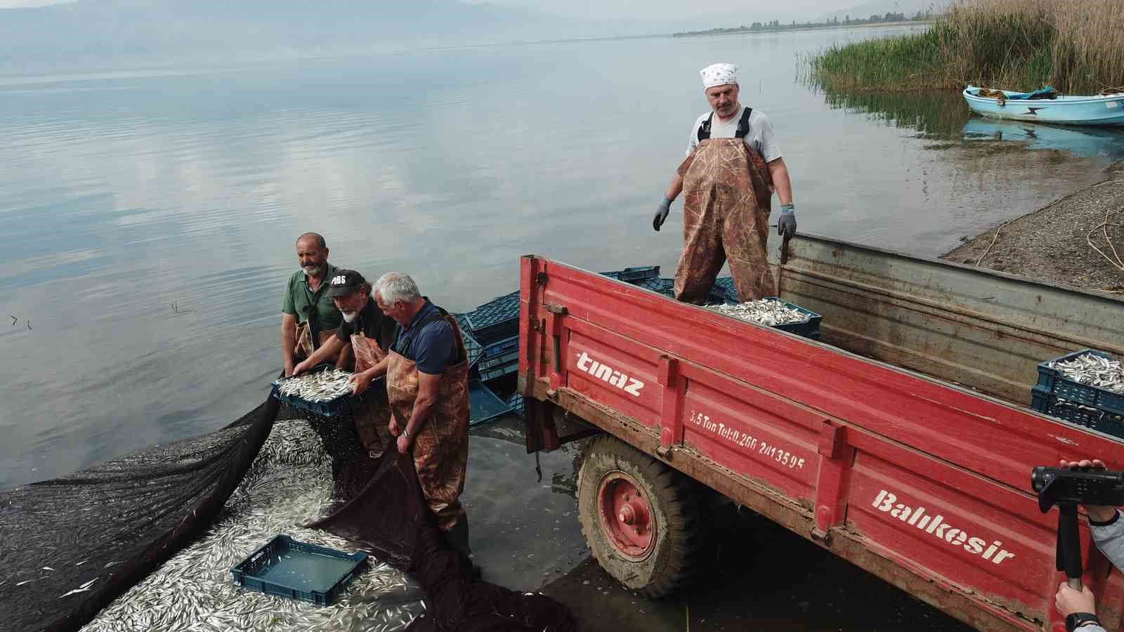 Gümüş balığının ihracat serüveni başladı