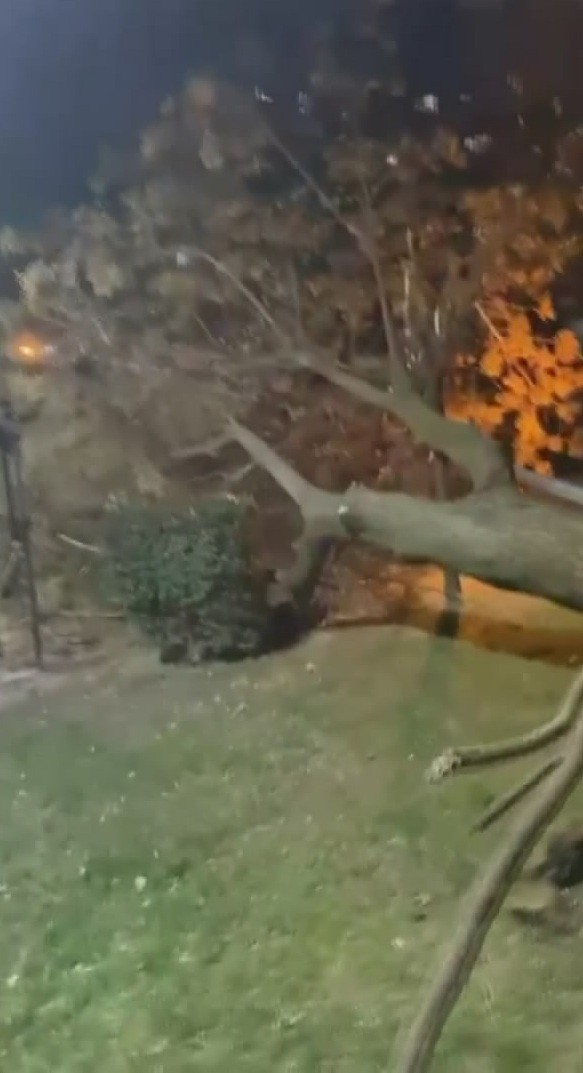 Bursa’da fırtına hayatı felç etti: Ağaçlar devrildi, otluk alan yangını depoya sıçradı