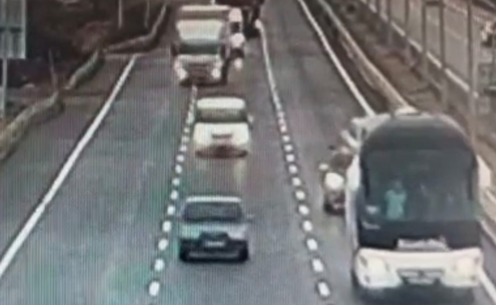 Otobüsün camına çarpan şahini duyarlı sürücü kurtardı, o anlar kamerada