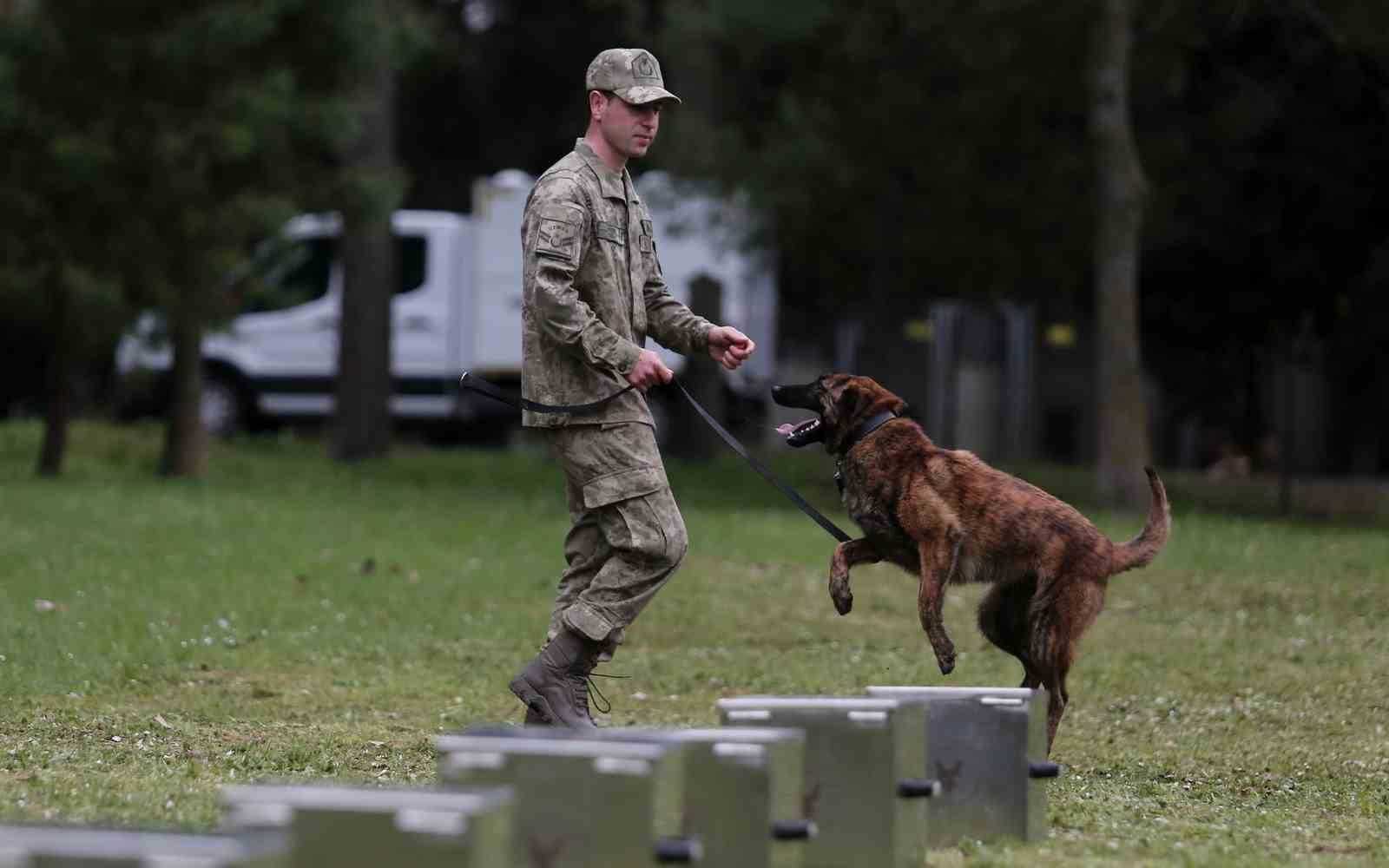 Bomba uzmanı köpeklerin nefes kesen eğitimi