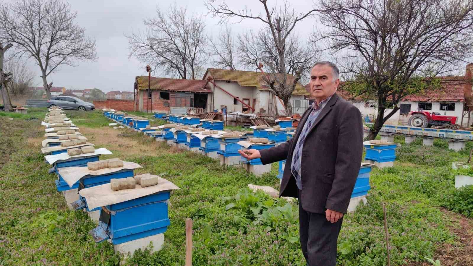 Bursa’da toplu arı ölümleri