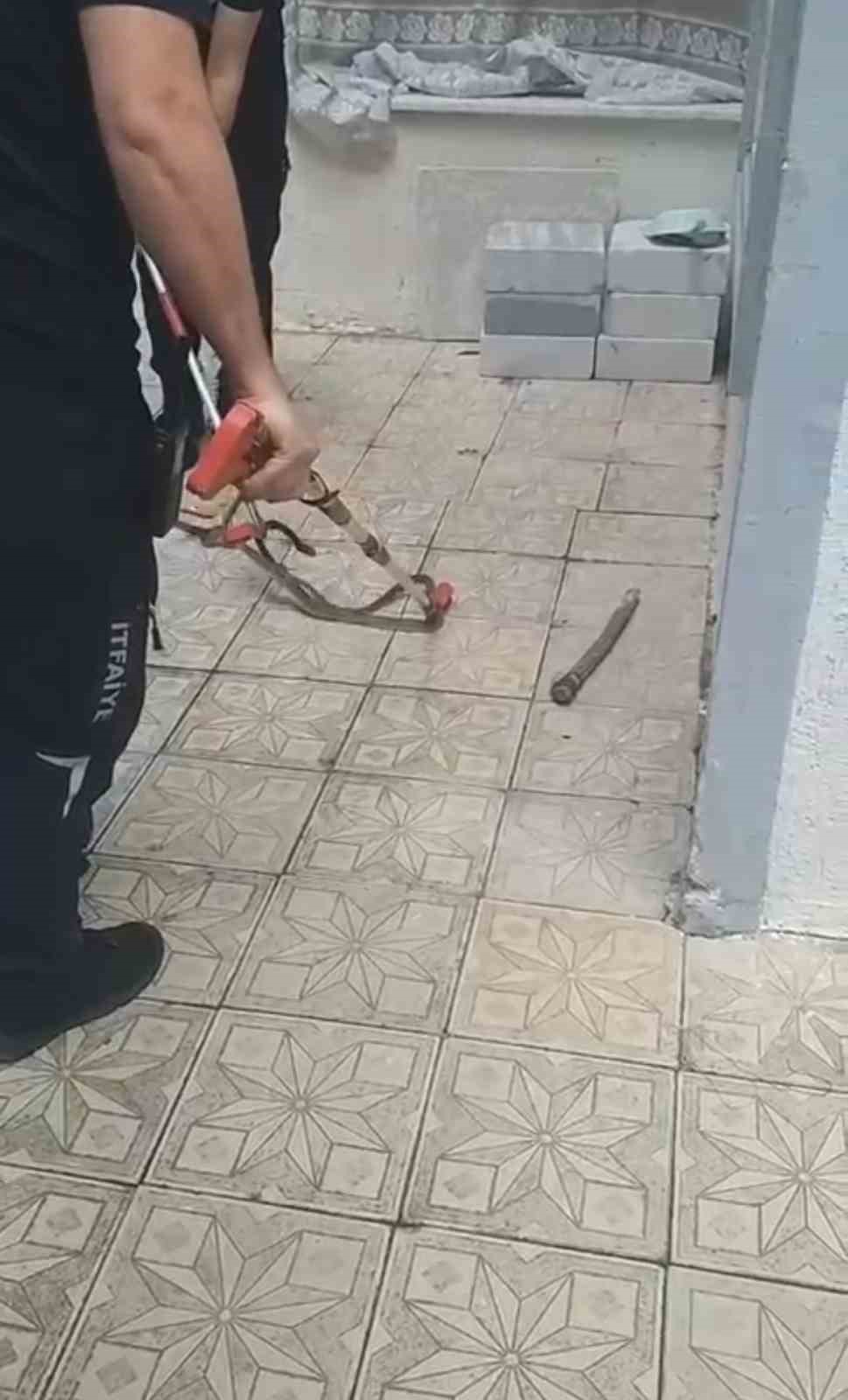 Bursa’da yılan paniği