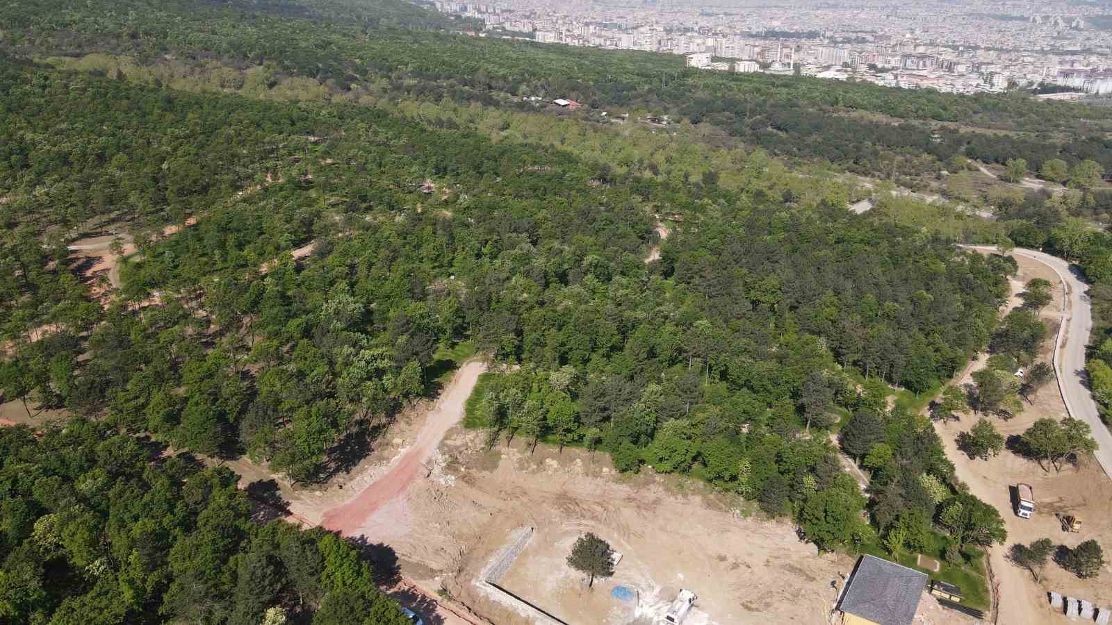 700 yıllık Osmanlı köyü Cumalıkızık’a 100 bin metrekarelik orman parkı