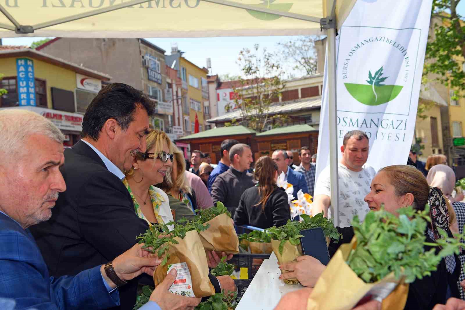 Osmangazi Belediyesi 1 milyon sebze fidesi dağıttı