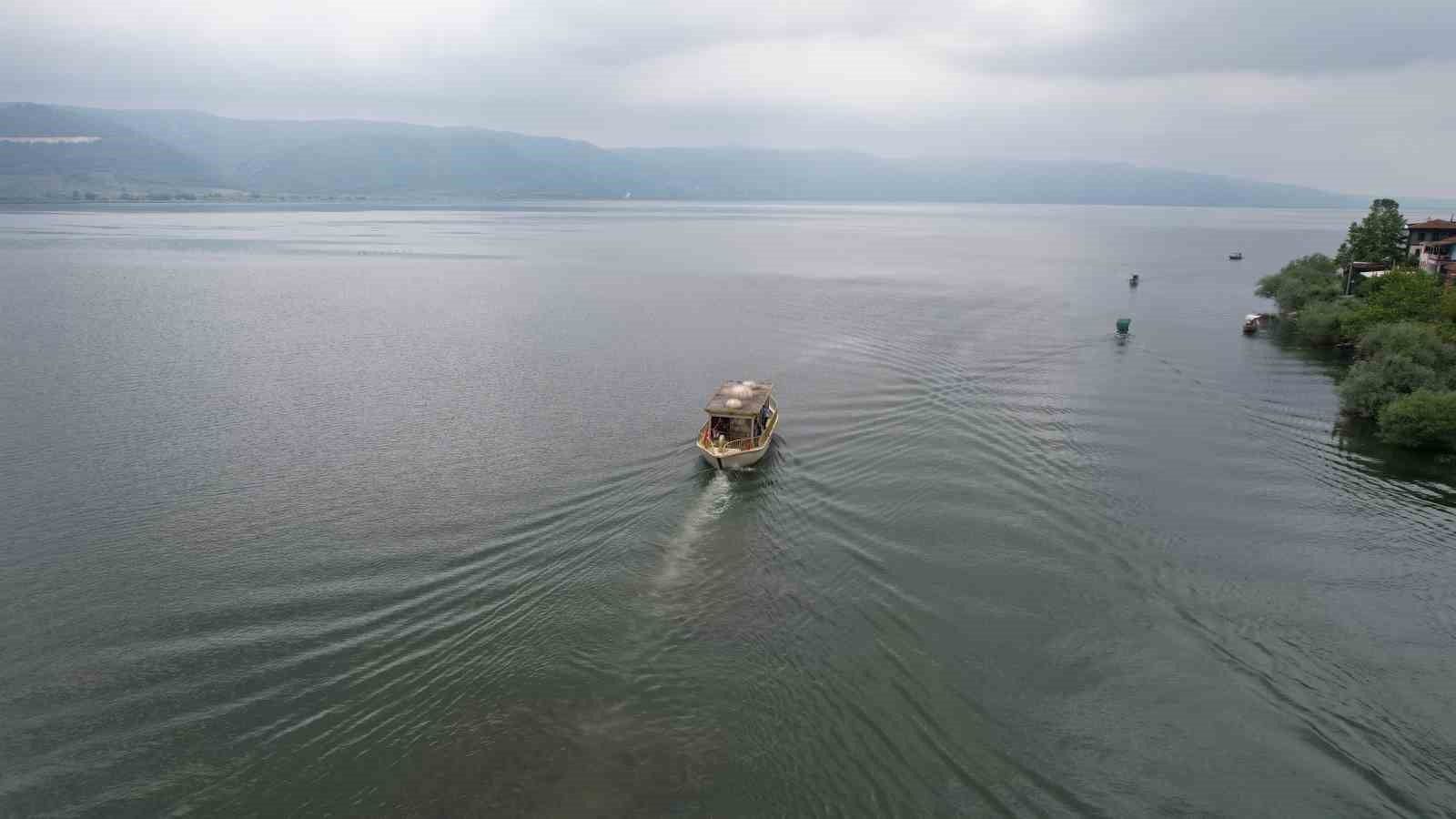 70 yıl sonra bir ilk... Haliç’ten çıktı, Uluabat Gölü kenarındaki Gölyazı’ya yüzerek getirildi