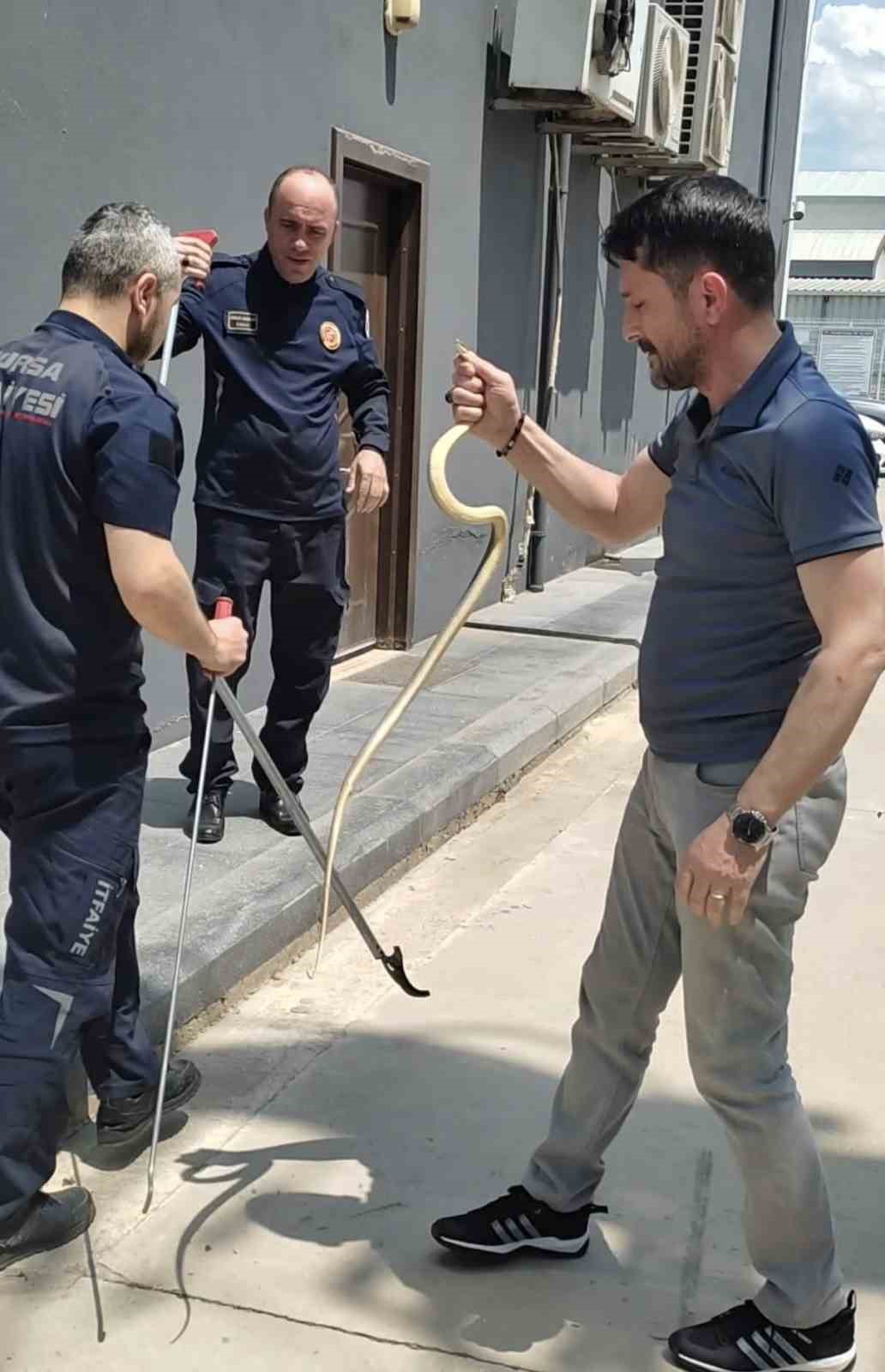 İstasyondaki yılanı iş adamı böyle yakaladı