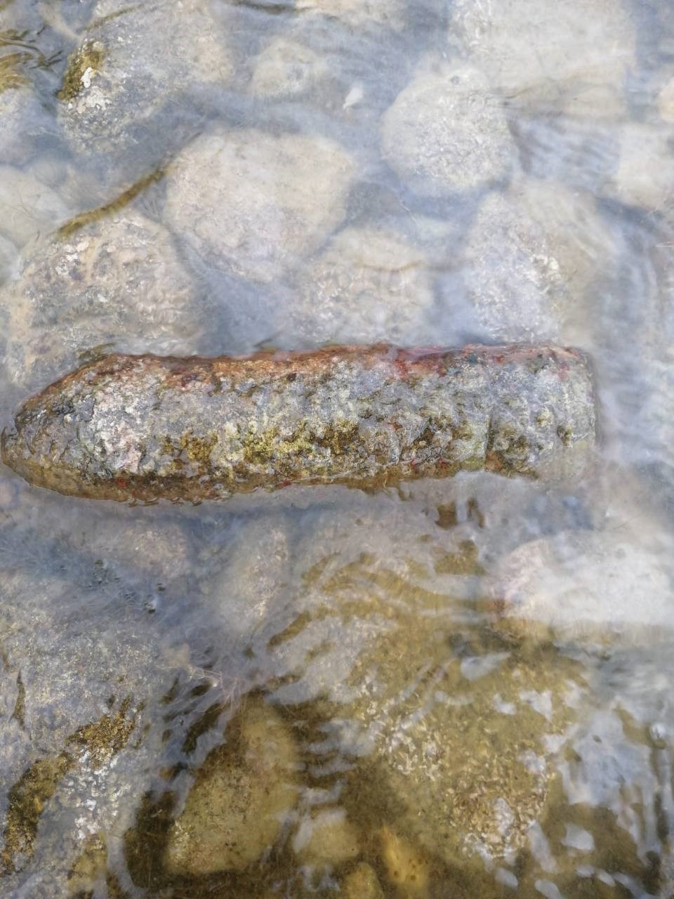 İznik Gölü’nde top mermisi bulundu