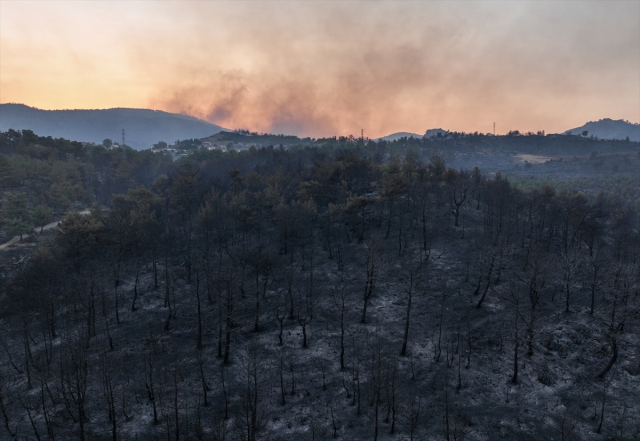 Çanakkale'de yangının boyutu gün ağarınca ortaya çıktı