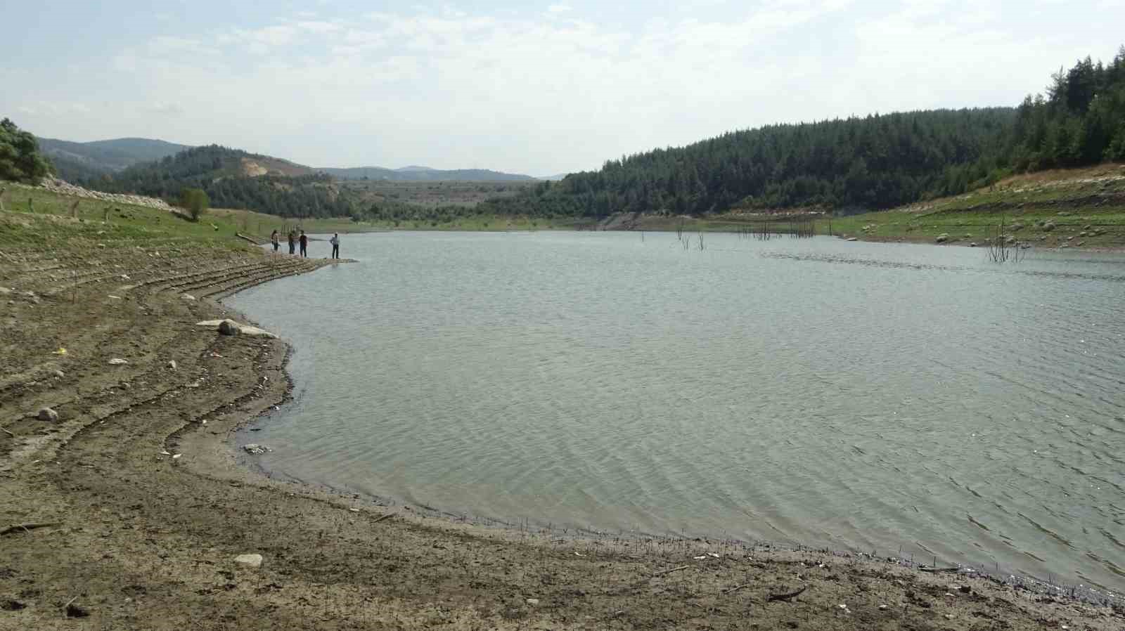 (Özel) Çınarcık Barajı’nı besleyen Kocasu Deresi’nde balık ölümleri