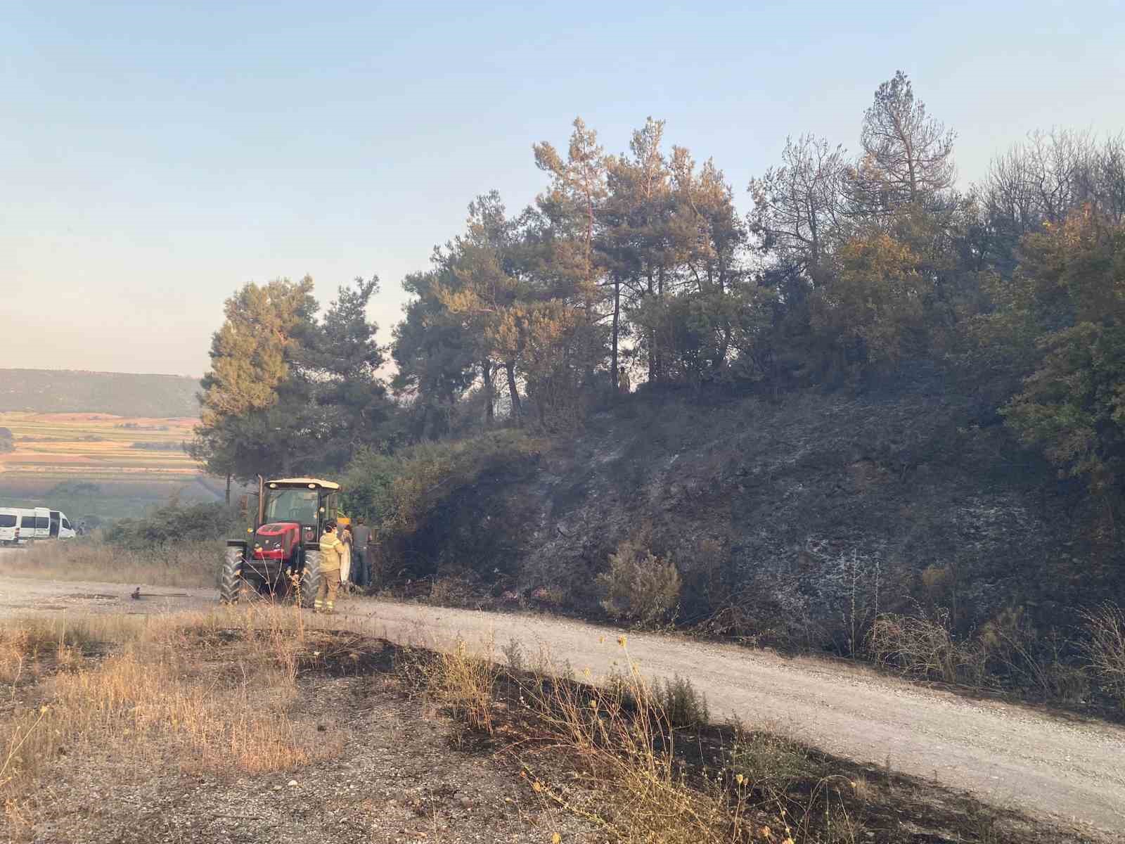 Karacabey’de orman yangını