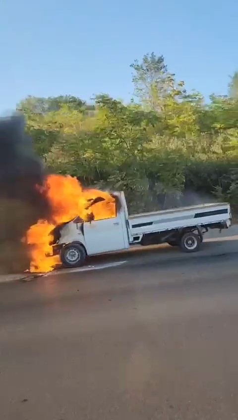 Arıza yapan kamyonet alev alev yandı