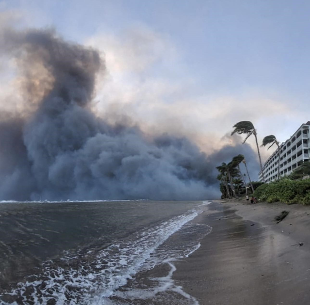 Alevlerin sardığı turizm cenneti Hawaii'den denize atlayarak kaçmaya çalışıyorlar: 55 ölü, bin kayıp