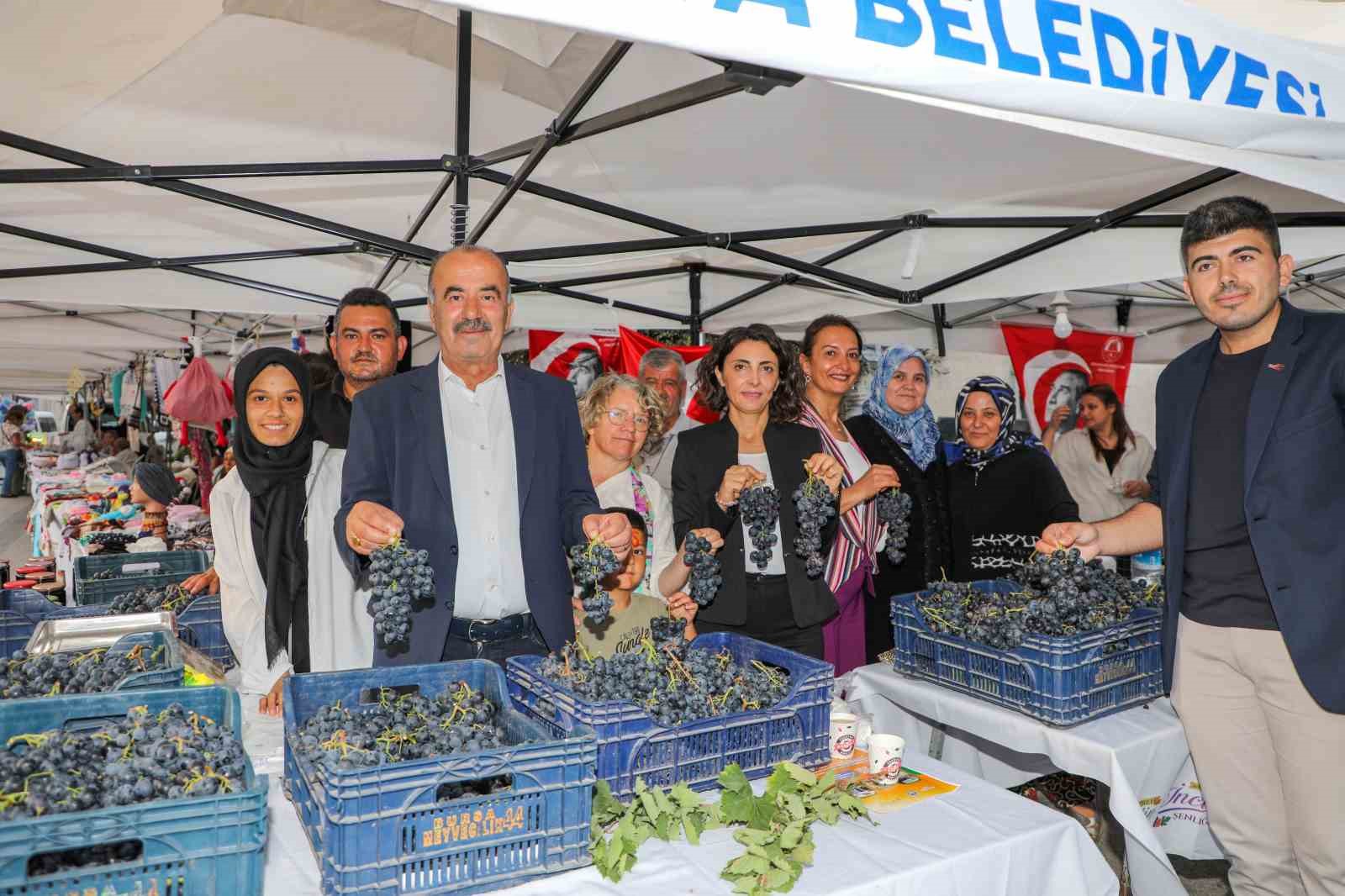 Mudanya Çağrışan’da bağbozumu zamanı